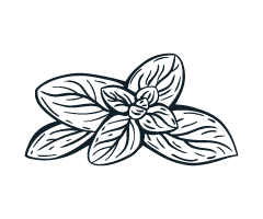 Icons Powdorum-02
